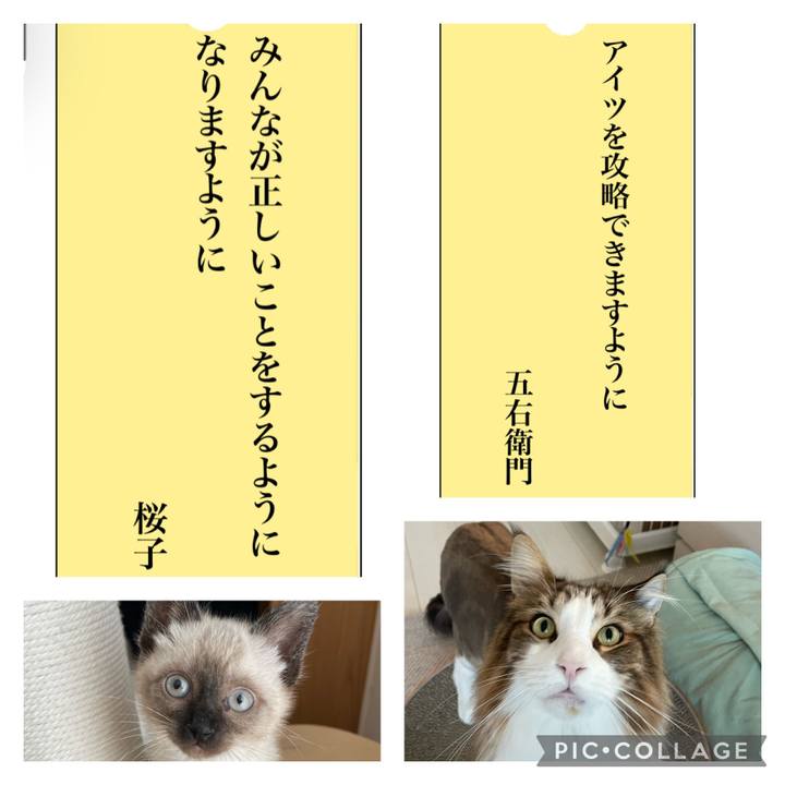 3ab778ab bd8e 4048 95ee cb33752cefde 1688715356312