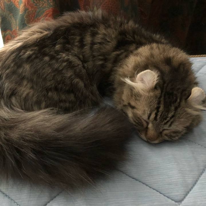 3ab79ff6 4fc9 4485 ade3 ee5fa12879fe 1597503685969