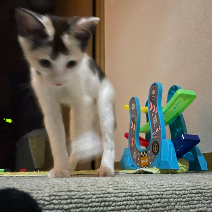 3ab7e1fa 1a7d 4af6 9f6f f195d5399f20 1658832725038