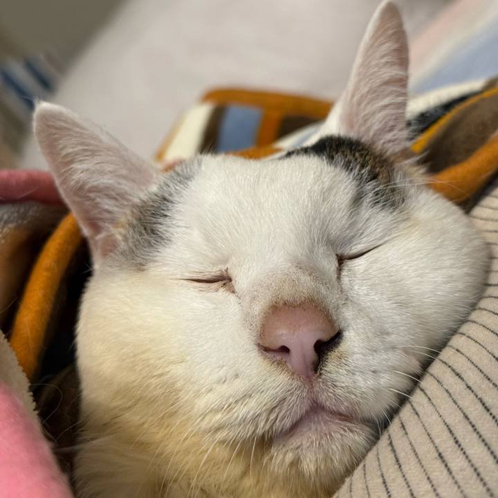 3ab7ef90 4eec 4753 bab3 12e1773e35f3 1767793744917