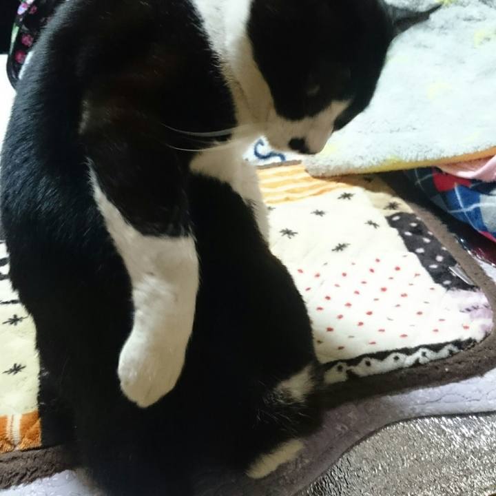 3ab80084 beb4 4a77 aaec 8967a4cfd490 1513138619101