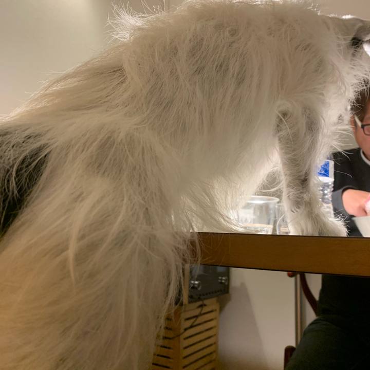 3ab81d09 8b34 46ff 8c0f 4f97226f532c 1613047944420