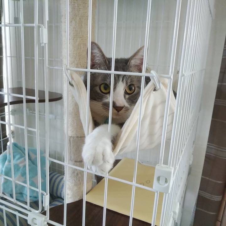 3ab83b57 838a 4049 81d7 f534674c3653 1588550270516