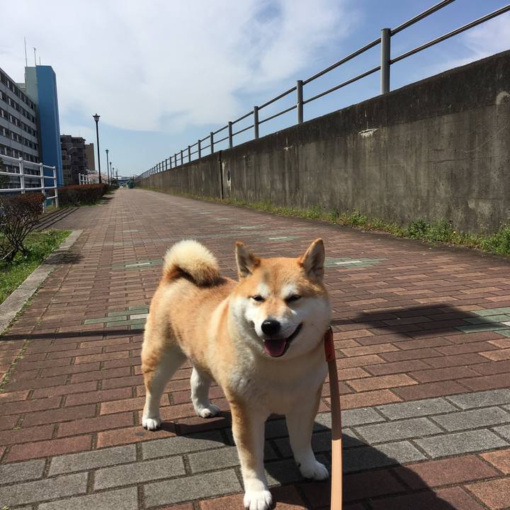 3ab84576 dd5e 4765 b81d 2c09a6f508b5 1554435294179