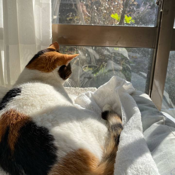 3ab87d1e 8df4 457b a428 6eb12a9a7740 1609146479031