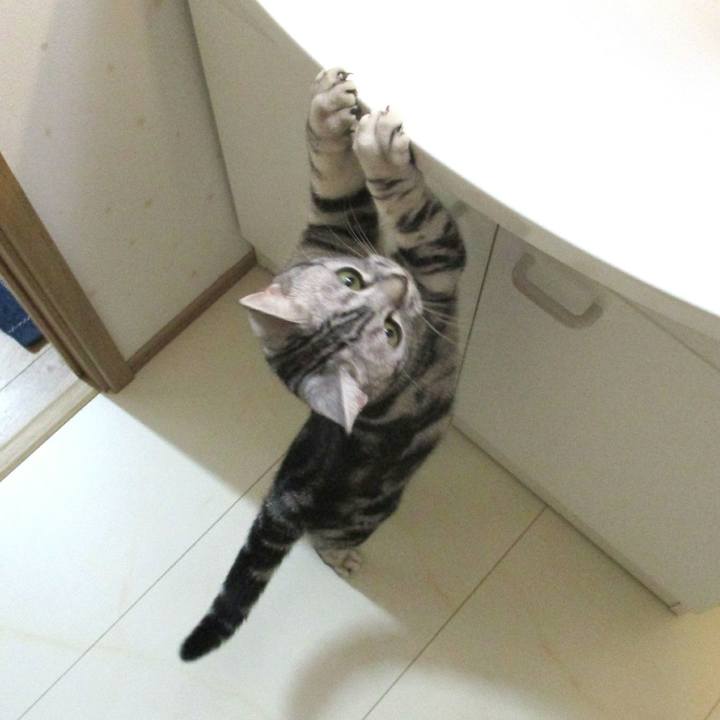 3ab88835 1d1e 4604 acdb cb1510ddfe30 1556790971435