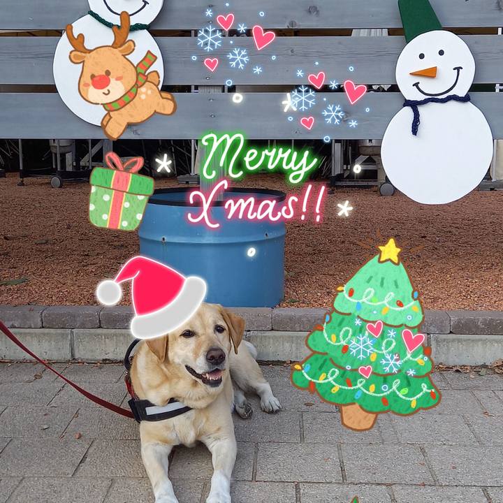 3ab88d3f 2050 4921 8179 686c626e4afd 1608779685707