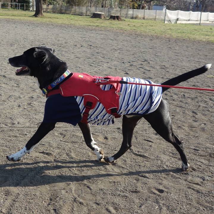 3ab8a778 5639 42db aca2 af33894c616d 1678151367379