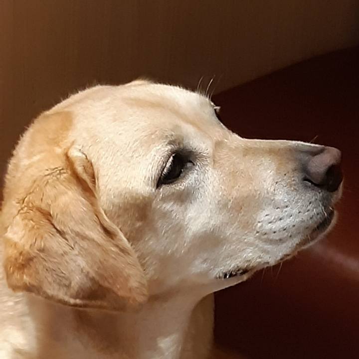 3ab8d8cc 2b36 4a82 a0e5 d70a7bd46b52 1630283537689