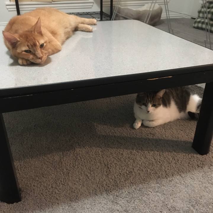 3ab8e8e8 ef6c 4e15 b846 fa952f49cfaa 1663978148078