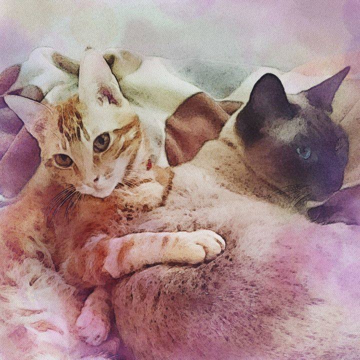 3ab8ed43 cf5e 476a b67f c0eac0bc8e01 1508944864391