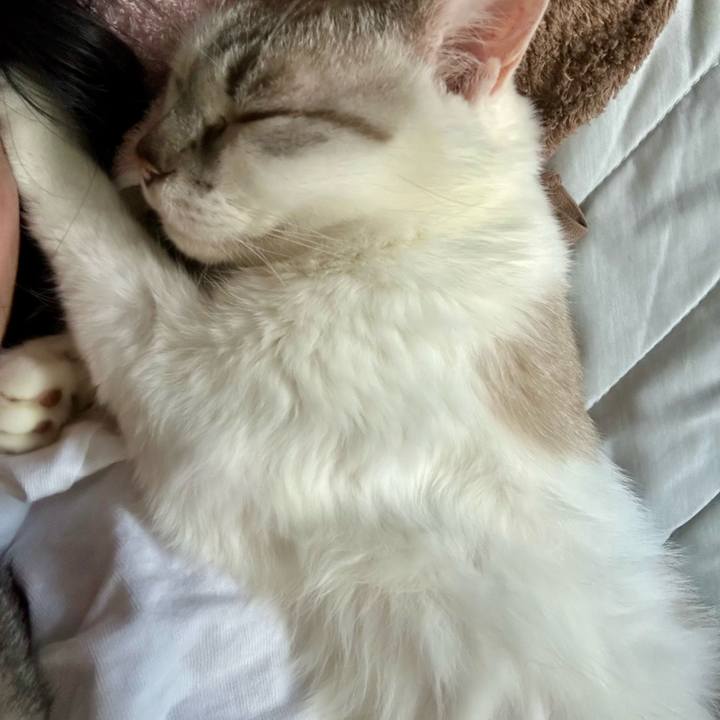 3ab8fde8 b3f1 443d 8914 e9aea697bc5f 1753404372888