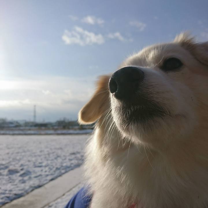 3ab912e6 215f 4fbe 8f4e 9d46fd8c7d9b 1519168162608