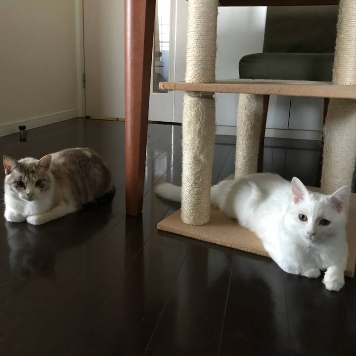 3ab92397 c19f 45d2 9c6f dacd5e767b46 1515972508029