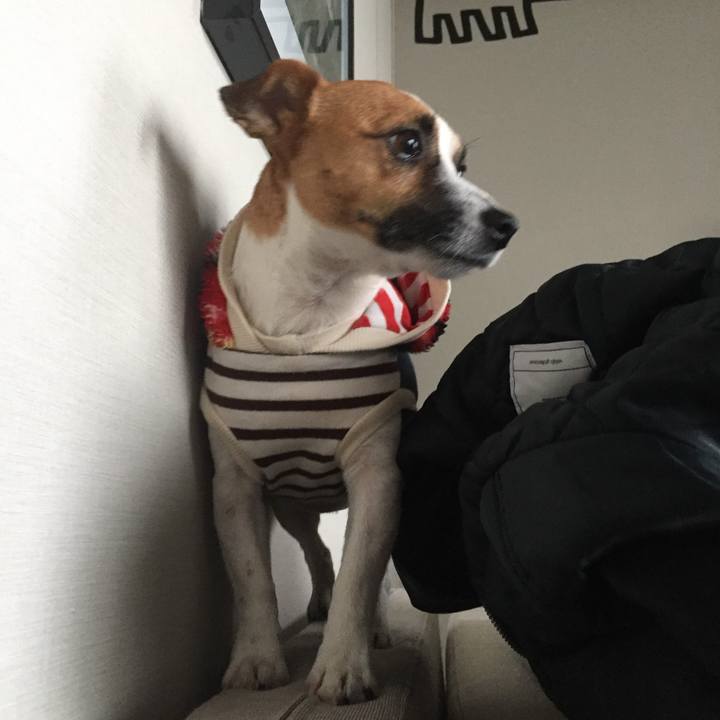 3ab92605 a9f4 423e a64c 627b5c131e81 1702986259170