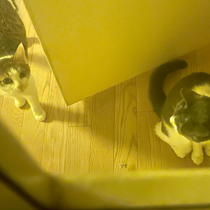 3ab93fb1 4eee 4cef ae89 2c6a19893963 1633692578315