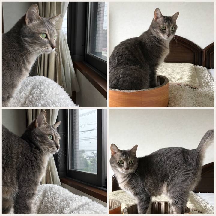 3ab9aa65 a691 4464 bb79 efbe69dc95a2 1524053812836