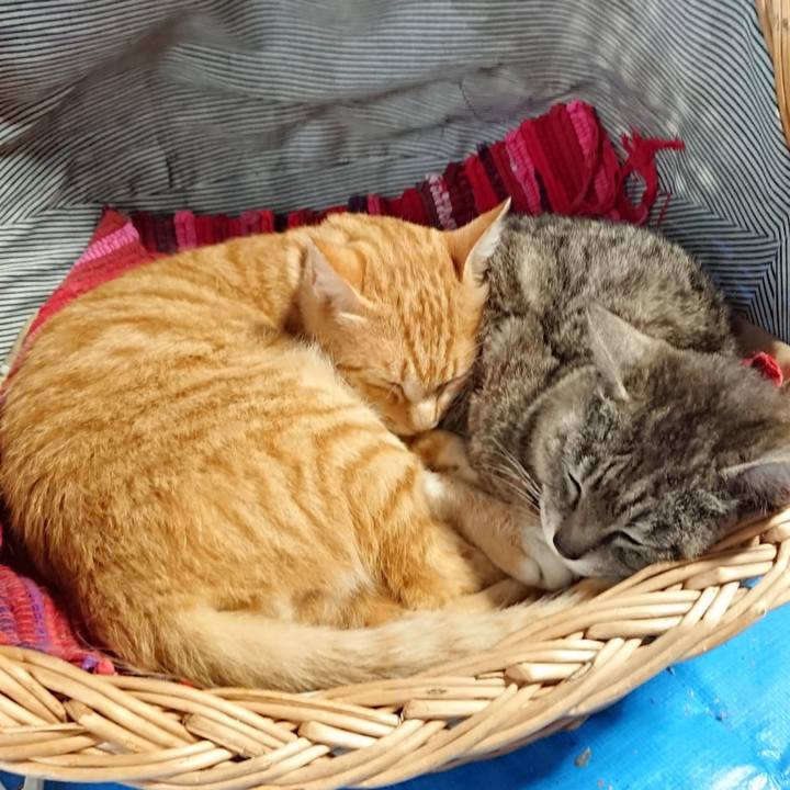 3aba0251 9014 4e89 bc91 135677f07361 1561789772920