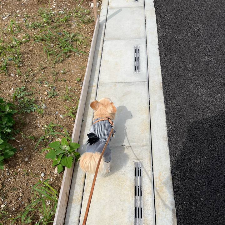 3aba21b3 cbf4 473e b6b9 c1730b08bdfb 1747986439295