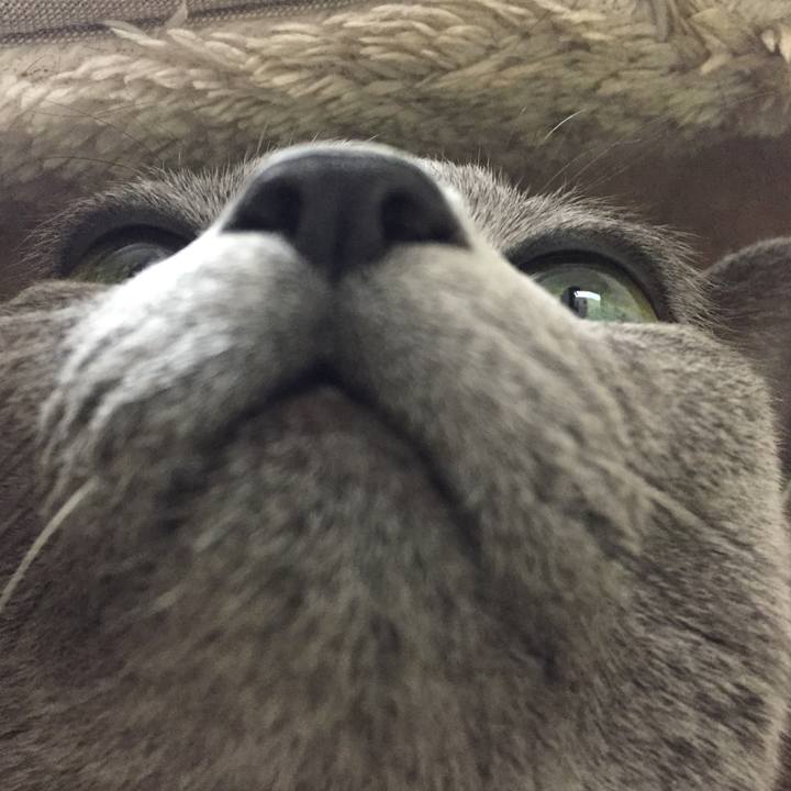 3aba24fc 8ad9 4050 99df 7d41fd50581e 1510545681093