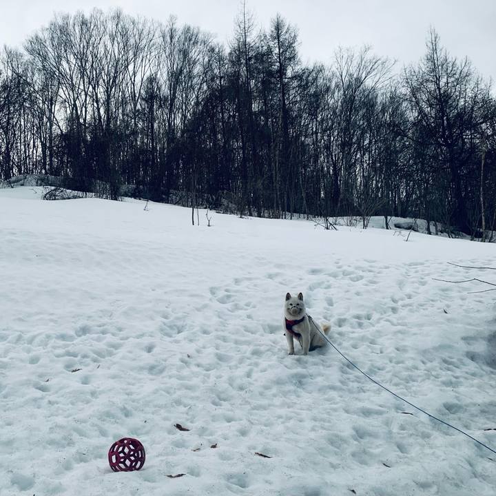 3aba441a d470 48fe a3f1 05b39091c69f 1678919161400