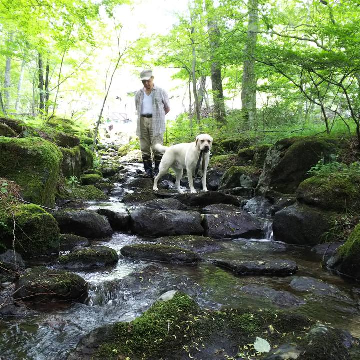 3aba471c 89e0 4876 995f 4c56a7f17d38 1531623151352