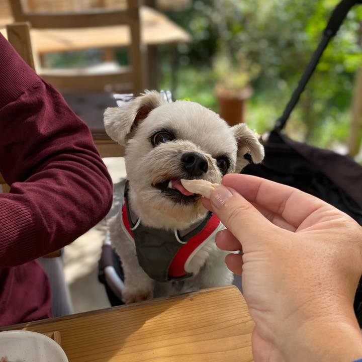 3aba8503 d653 444f afed c15a43d39d42 1604827051120