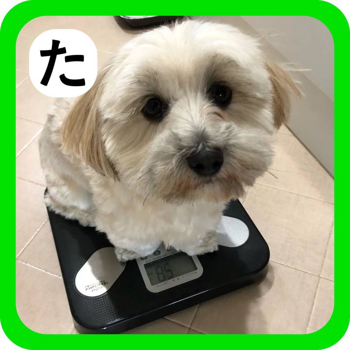 3aba9dc3 deef 4efc be04 efac3a5d15e9 1515312786247