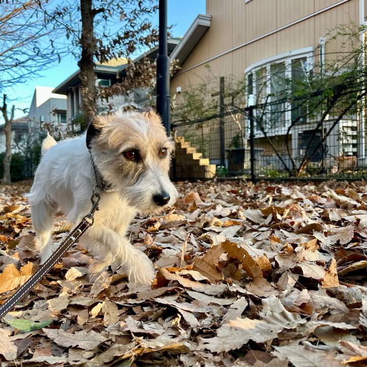 3abaa9aa 4580 40b7 81f8 1f75bad38eb5 1736742632885