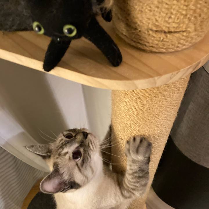 3abab776 755a 413b 903b acc24bb04e87 1632228422135