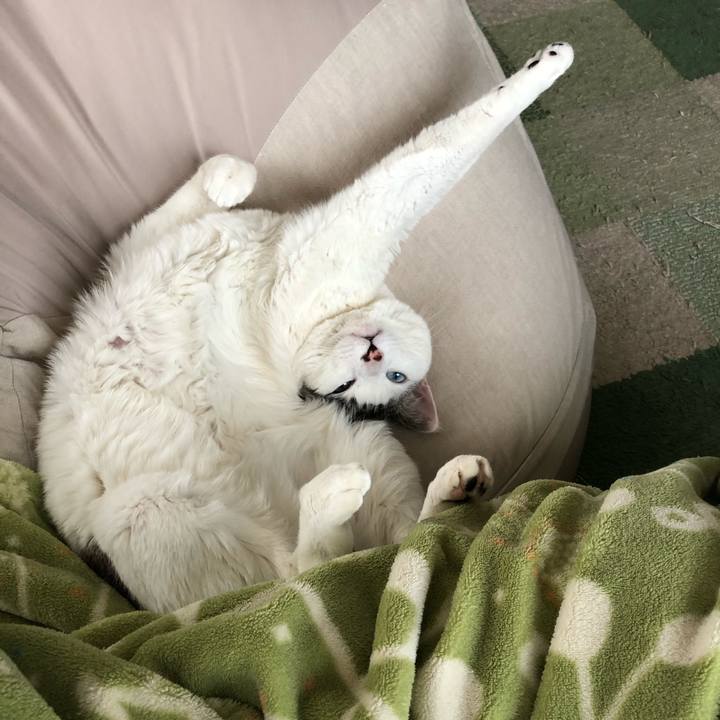 3abac89b c833 4315 b51b 26fcd27c30ca 1615868739882