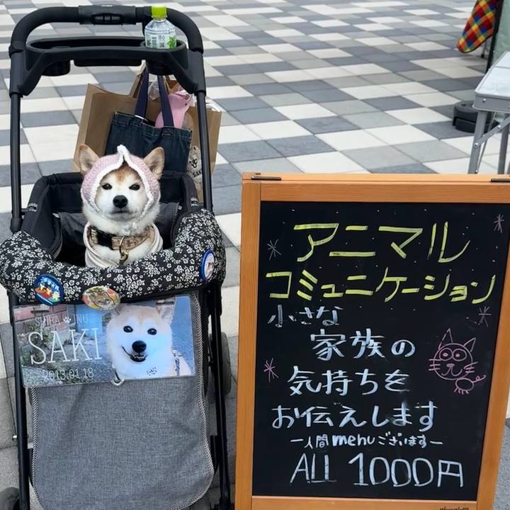 3abadce5 c795 4221 9bbd 1c88d5fec88e 1742479357810