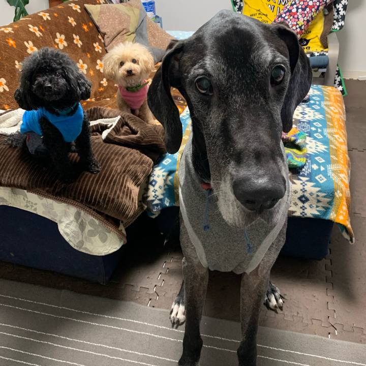 3abb18f8 793e 4b5d 9b63 acdab34d8266 1606774674048