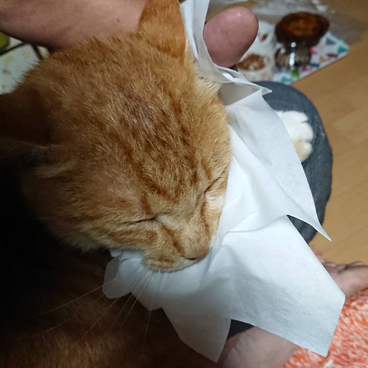 3abb2755 1891 4216 a165 da340e4542a1 1597176186708