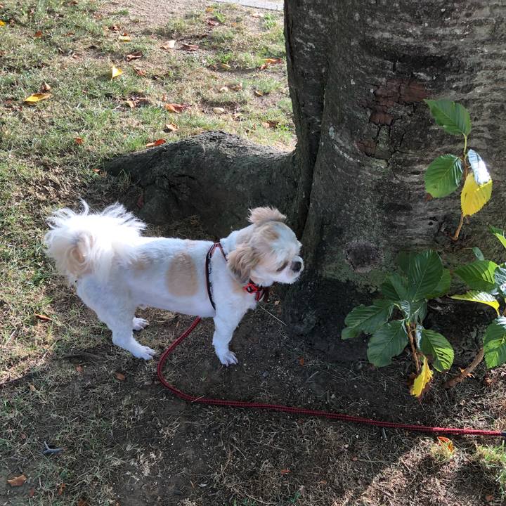 3abb3474 beda 4dc8 a0d5 ce4b8752ccf8 1568843221613