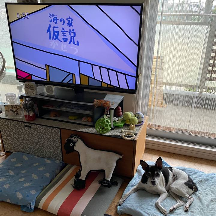 3abb62c6 1a15 4ab4 82f2 e05e061f2947 1628200605192