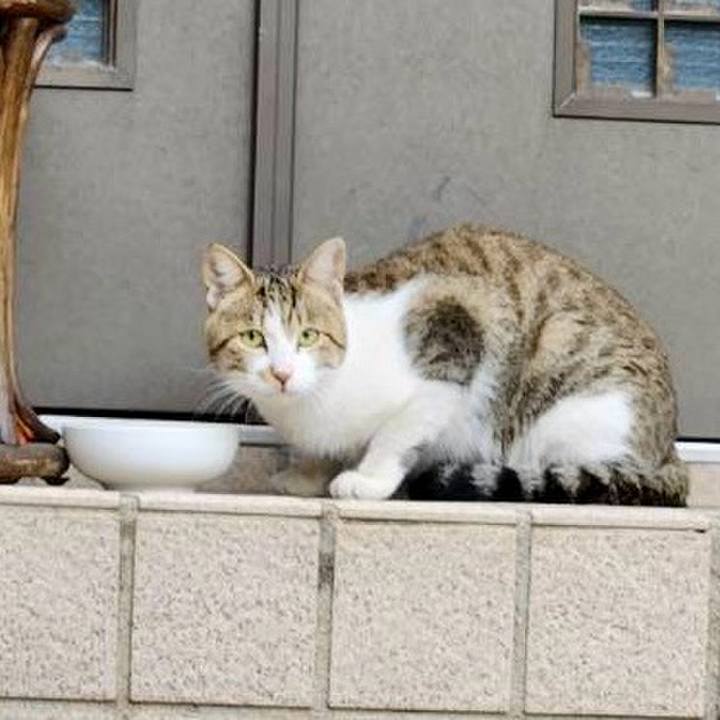 3abb6c94 c7da 4b09 be9e c9223826bc82 1761287784073