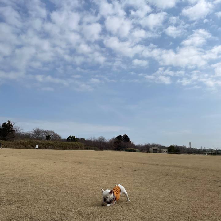 3abb7900 d055 4866 a11c 0fc7c06846da 1741994453079