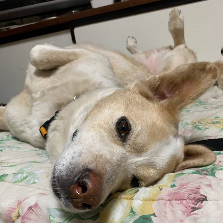 3abb7c8c 40a7 430d bf2e b89a6844500a 1582372705182