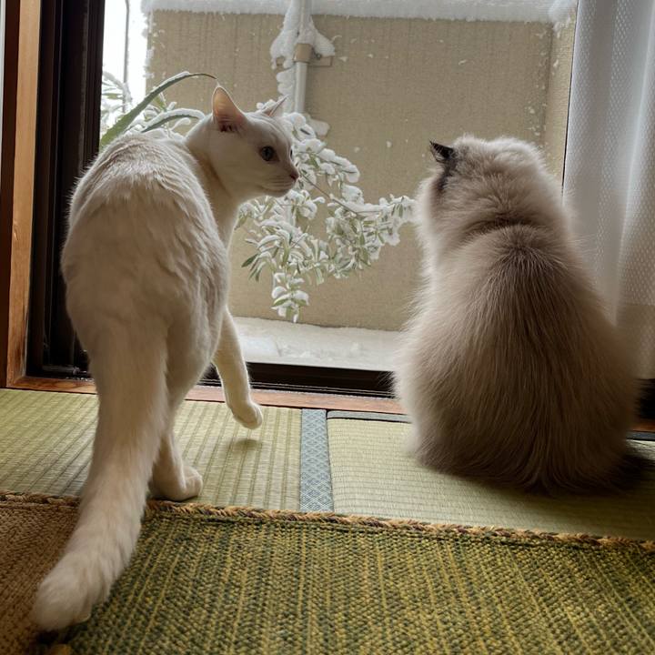 3abb92e4 3fe9 42bb b22b 301083c4ac8e 1674629217066