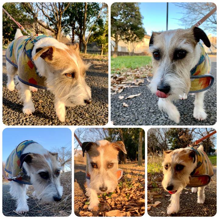 3abb9651 e0c5 4fa4 9371 24bca79c575f 1672474971591