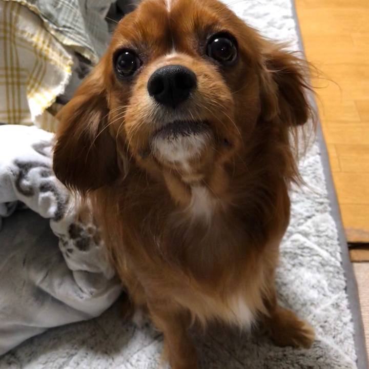 3abc207d 7f07 4f40 81bf 3a7d61300ac7 1541368777872