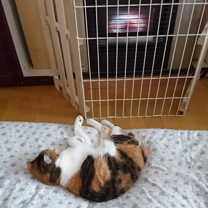 3abc3280 8d70 4e85 8c71 704b34af552b 1577839801777