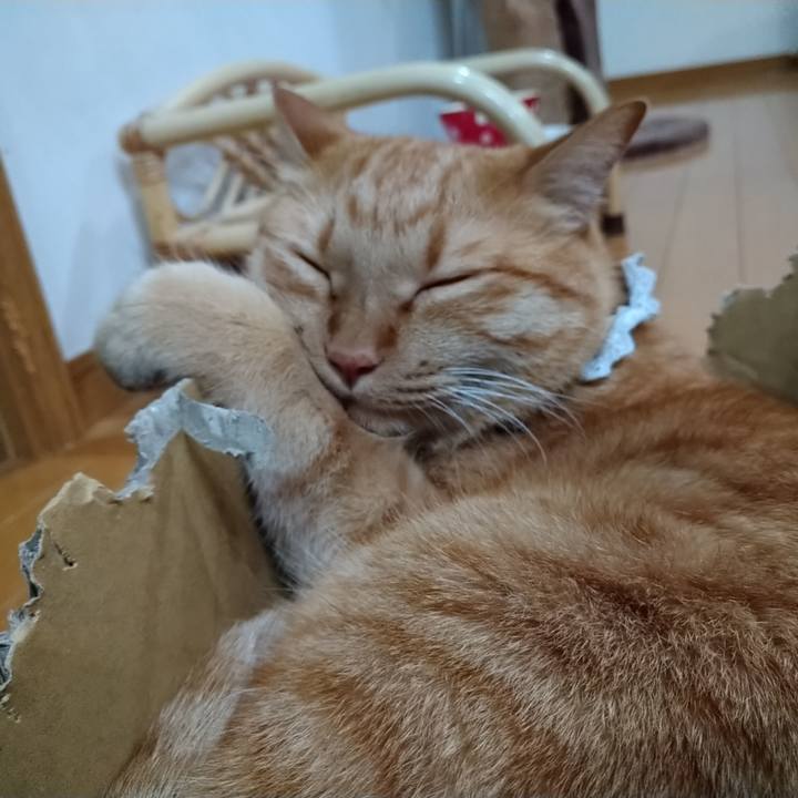 3abc3e12 bbbb 4acb a71a 3d990ab29e96 1627045803462