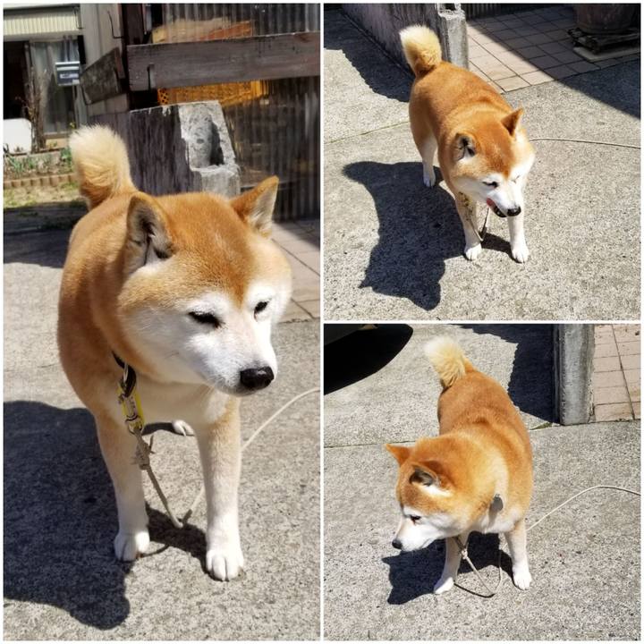 3abc5e9d e8ba 49dc b1fb e4da3175e79e 1649382359437