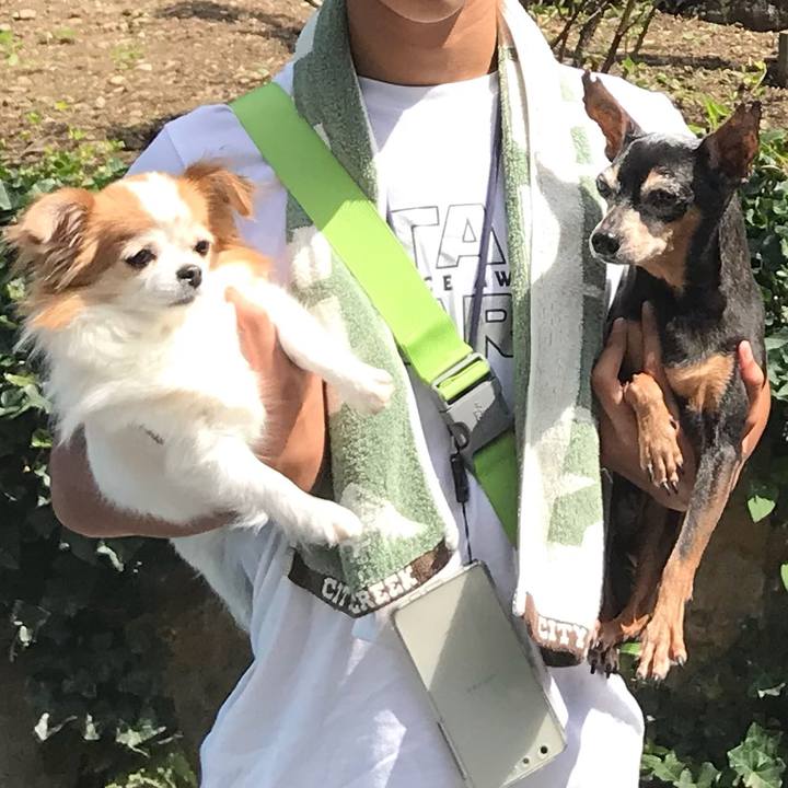 3abc5ead 148e 4c2f b3de b743b3bfd289 1539516444907