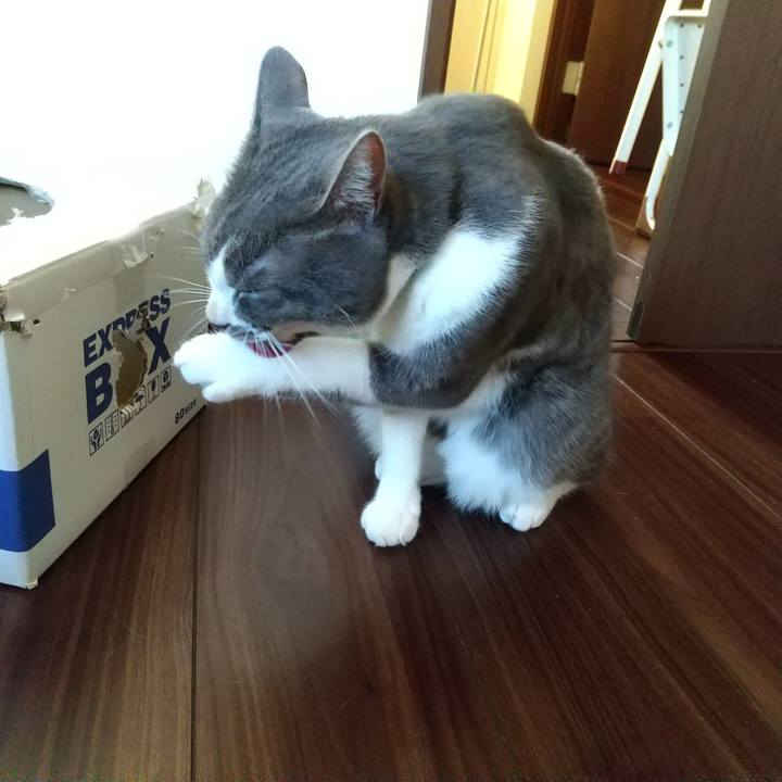 3abc759c 1cc3 48ee 85f4 88d8e0fd592b 1629409762942