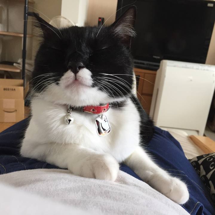 3abc7a35 3a71 4cc6 98e9 55e39c6290e8 1530343003874