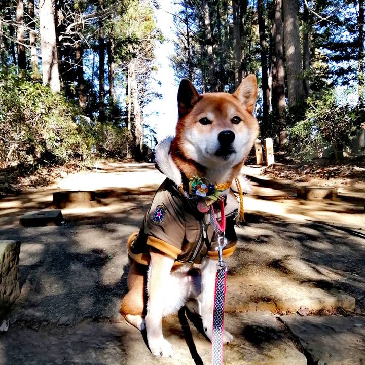 3abc9118 70ed 4684 b3c1 b928939f445b 1609484223064