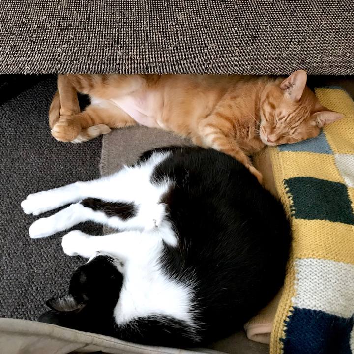 3abccd63 1f0d 4fb6 bdbc 205d6458f1de 1551926546232